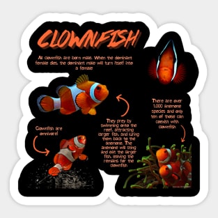 Clownfish Fun Facts Sticker